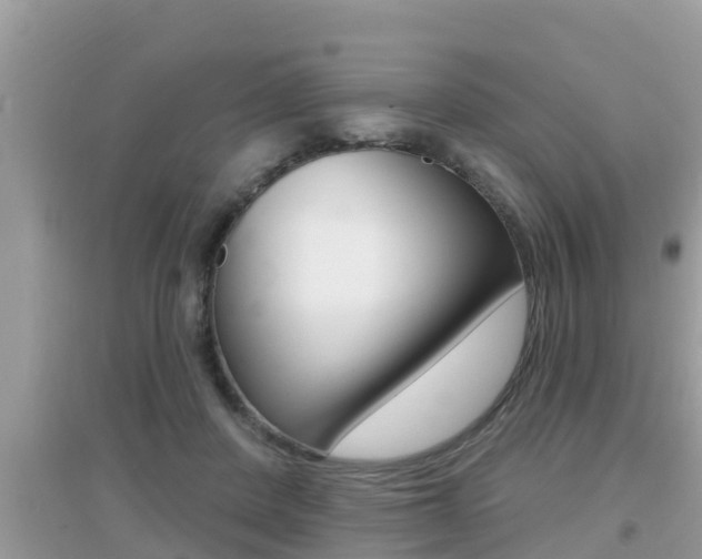 X0000095110408200712070924