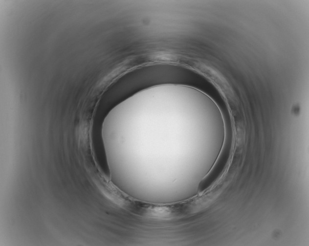 X0000095110409200712070924