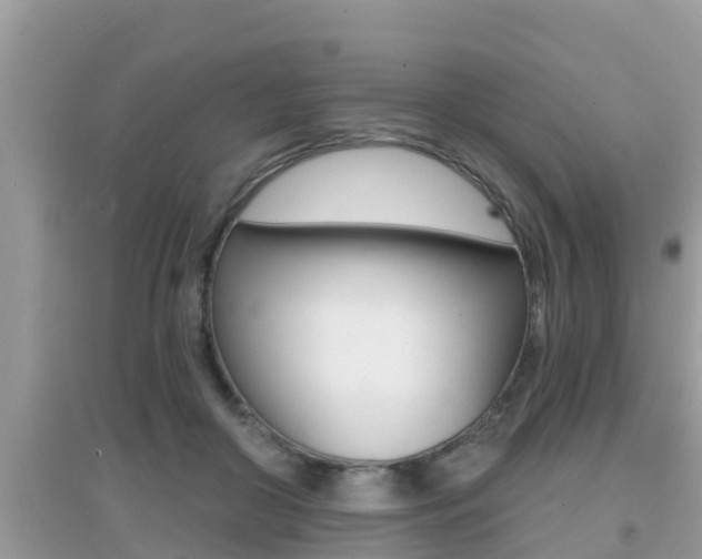 X0000095110410200712070924