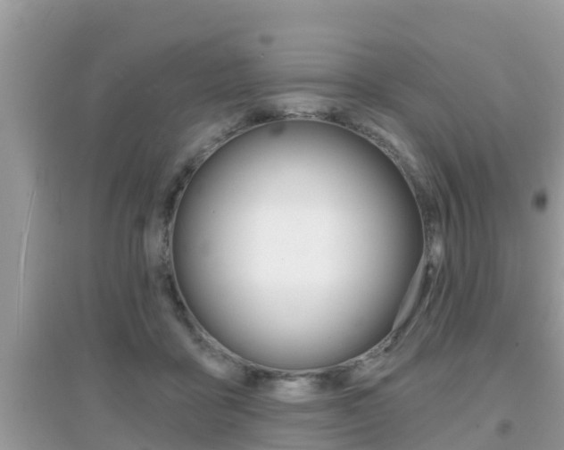 X0000095110411200712070924