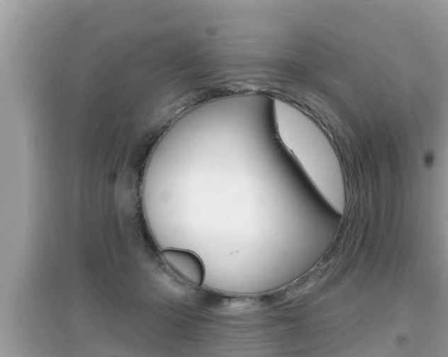 X0000095110414200712070924