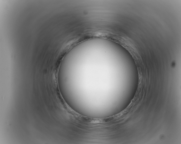 X0000095110415200712070924