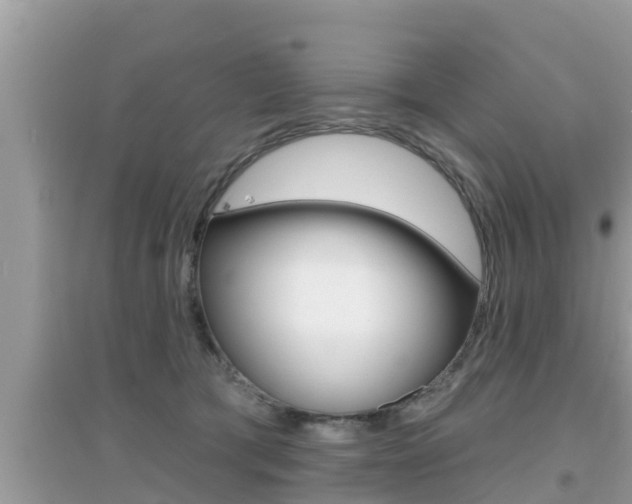 X0000095110417200712070924