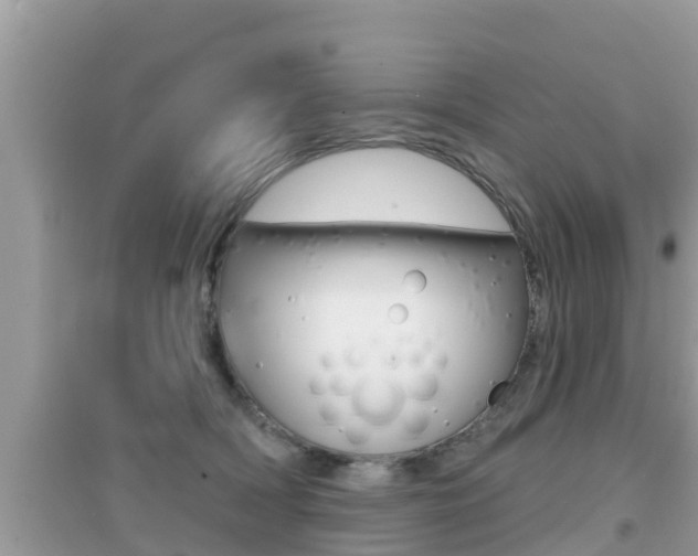 X0000095110418200712070924