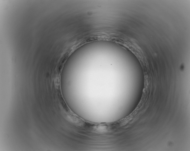 X0000095110419200712070924