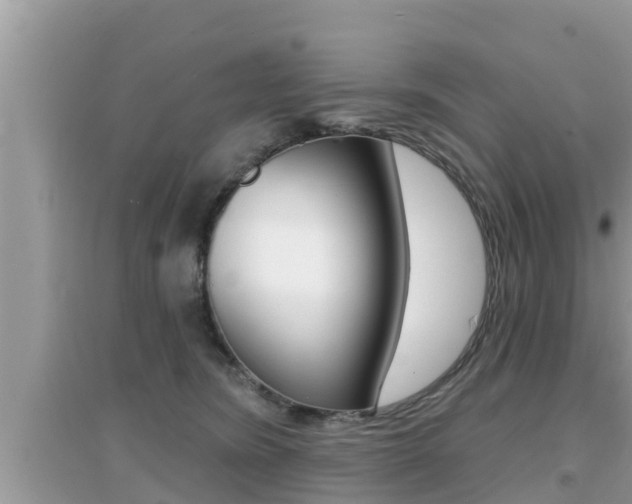 X0000095110420200712070924