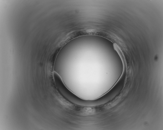 X0000095110421200712070924