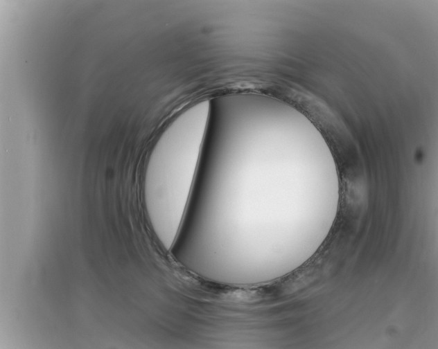 X0000095110422200712070924