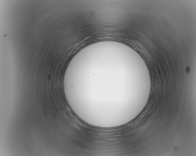 X0000095110425200712070924