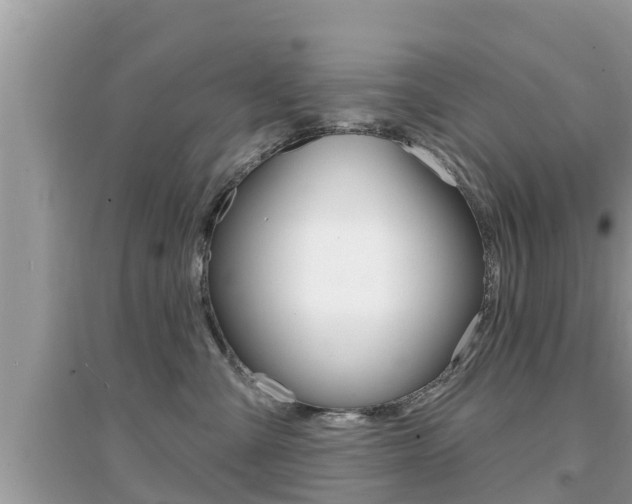 X0000095110427200712070924