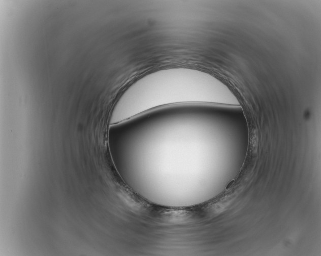 X0000095110428200712070924