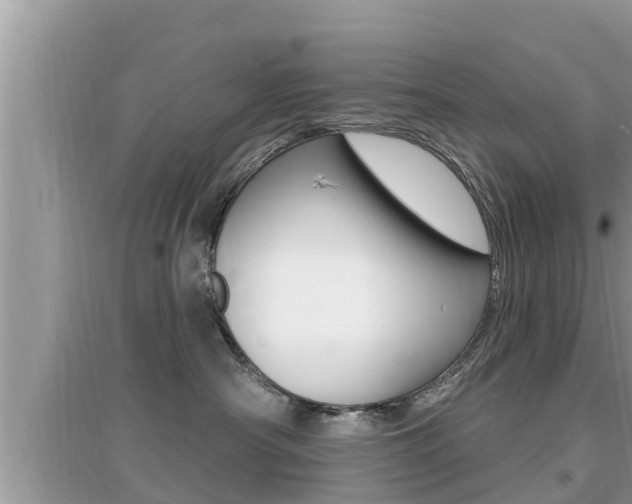 X0000095110430200712070924
