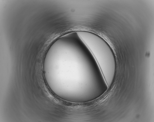 X0000095110433200712070923