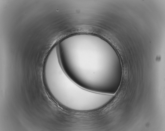 X0000095110434200712070923