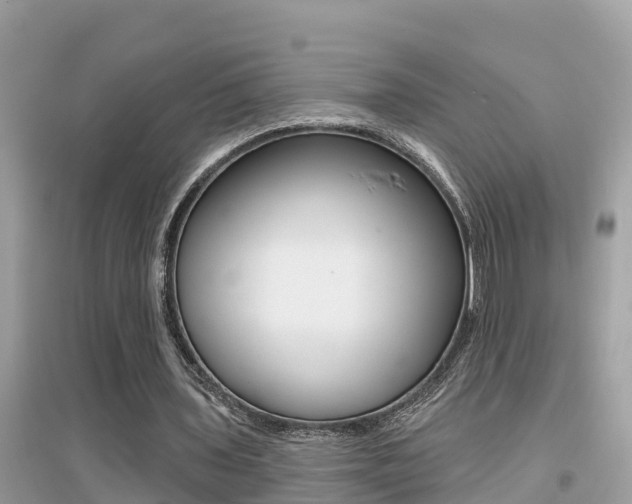 X0000095110435200712070923