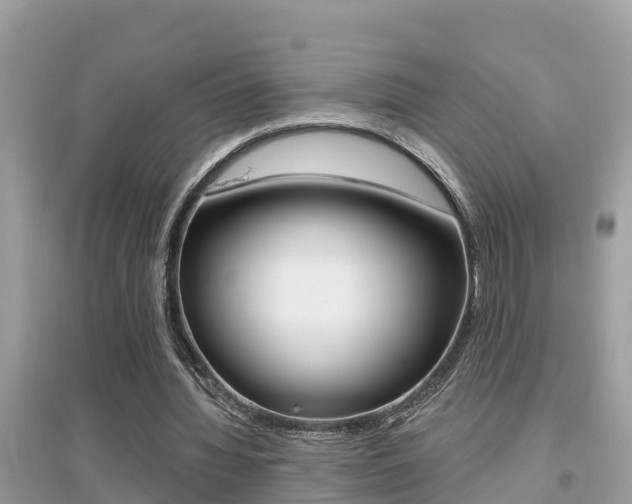 X0000095110436200712070923