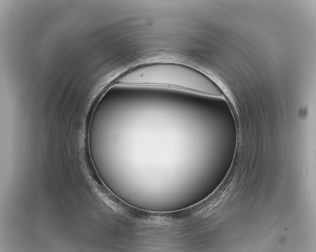 X0000095110437200712070923