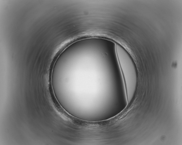 X0000095110438200712070923