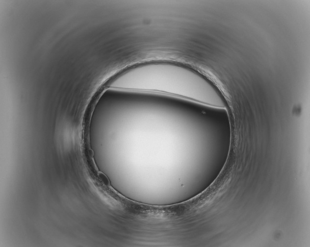 X0000095110439200712070923