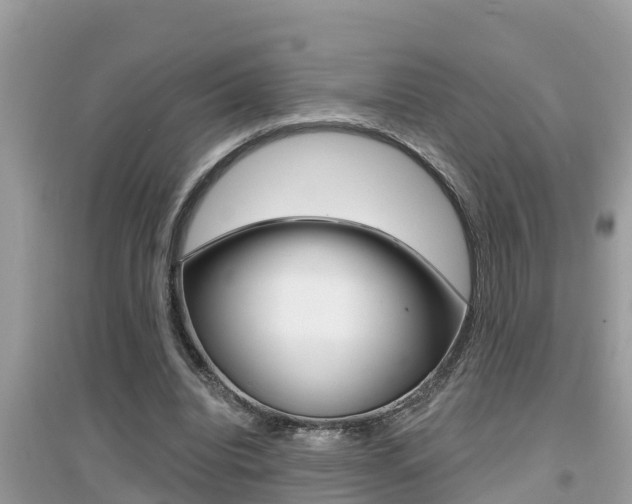 X0000095110440200712070923