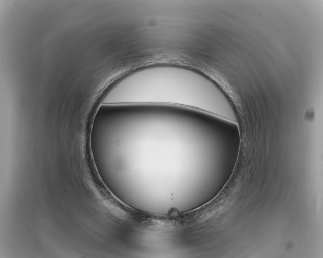 X0000095110442200712070923