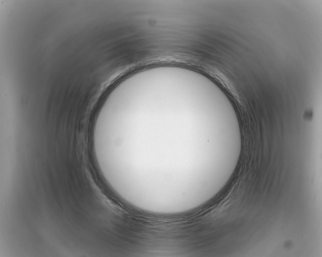 X0000095110444200712070923