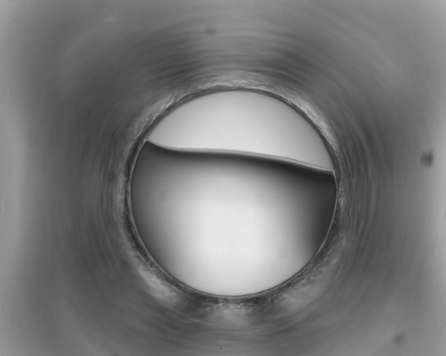 X0000095110445200712070923