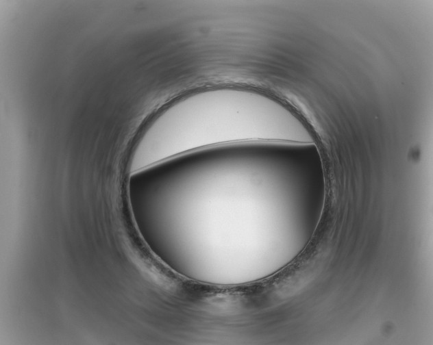 X0000095110447200712070923