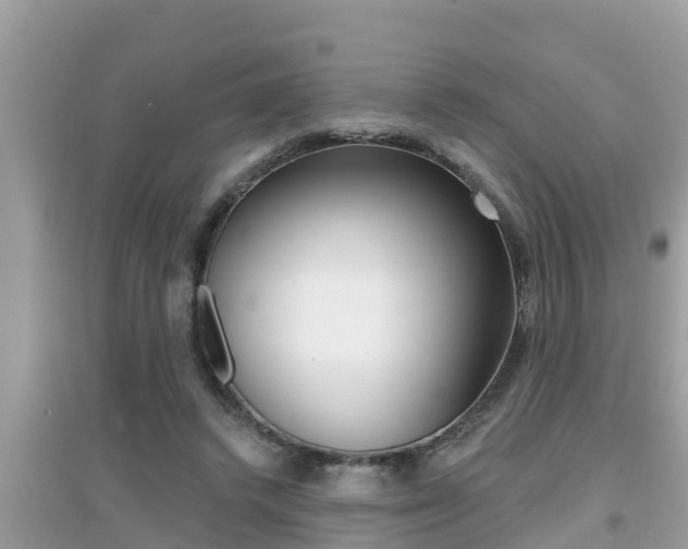X0000095110448200712070923