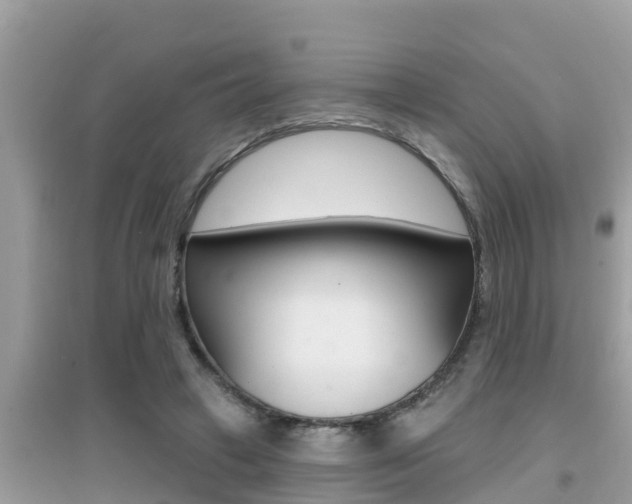 X0000095110449200712070923