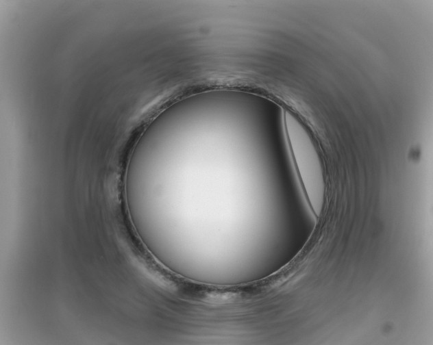 X0000095110450200712070923