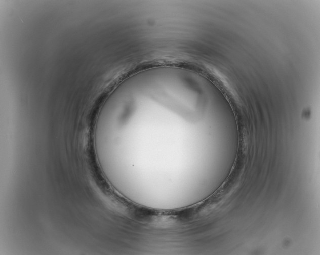 X0000095110451200712070923