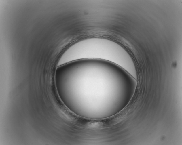 X0000095110452200712070923