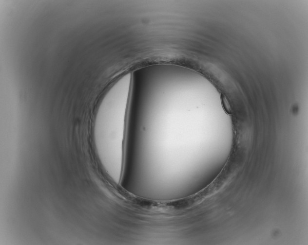 X0000095110455200712070923