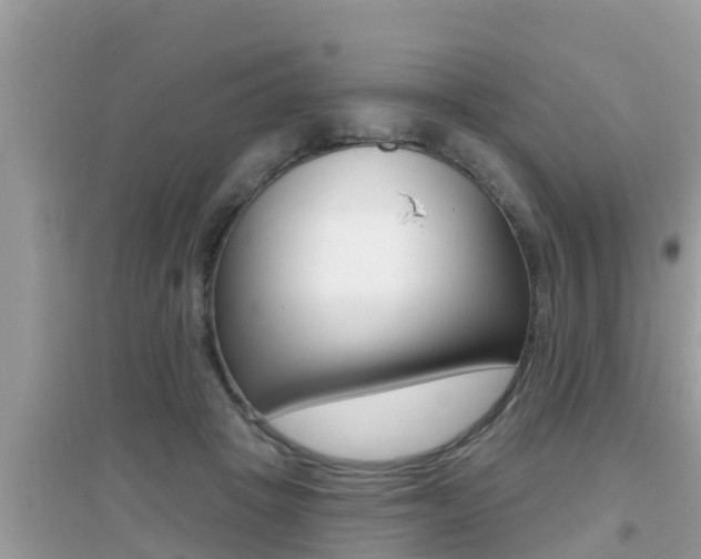 X0000095110457200712070923
