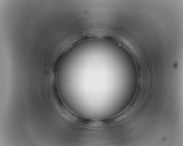 X0000095110459200712070923