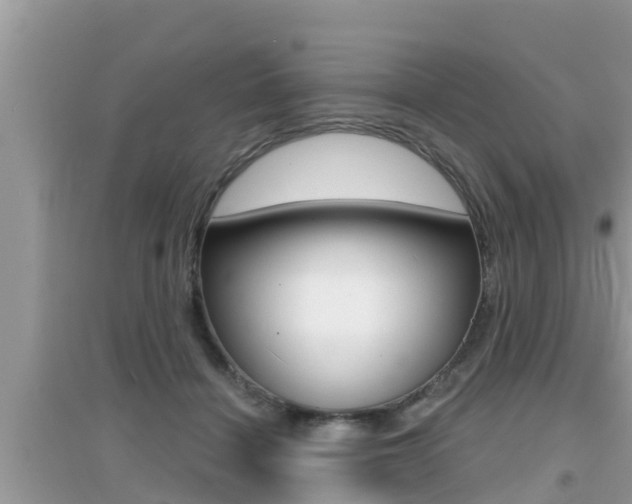 X0000095110460200712070923