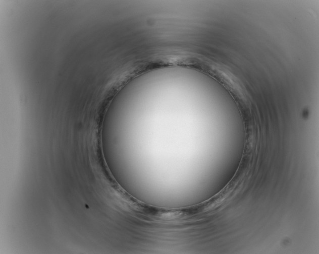 X0000095110461200712070923