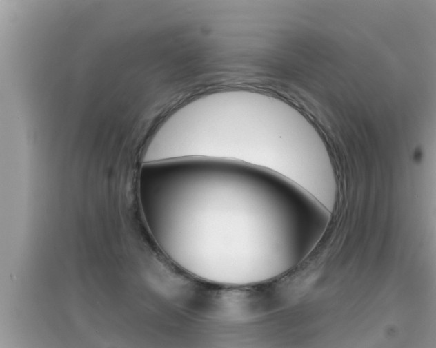 X0000095110462200712070923