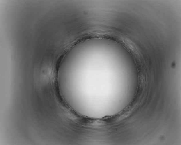 X0000095110463200712070923