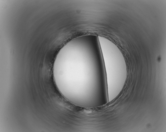 X0000095110464200712070923