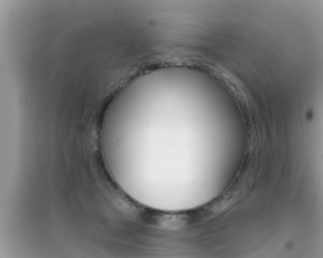 X0000095110465200712070923