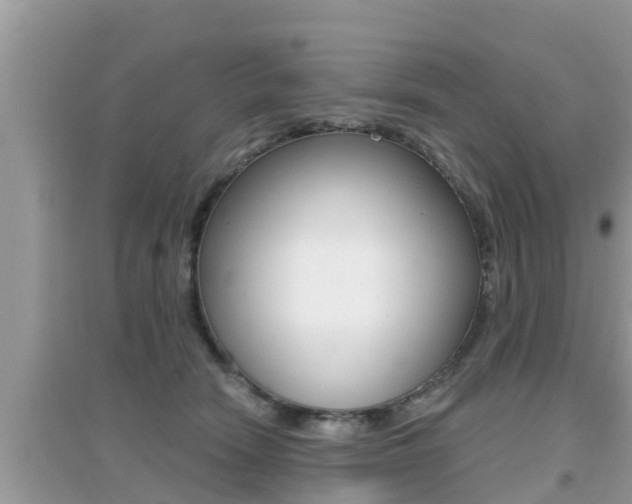 X0000095110466200712070923