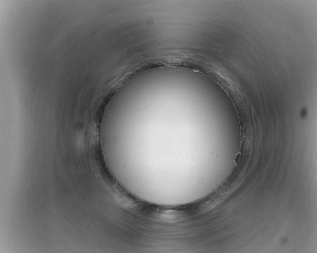 X0000095110467200712070923