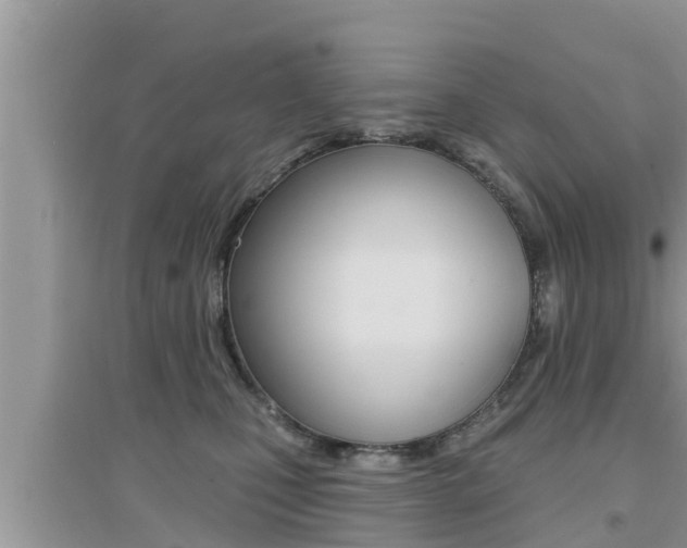 X0000095110471200712070923
