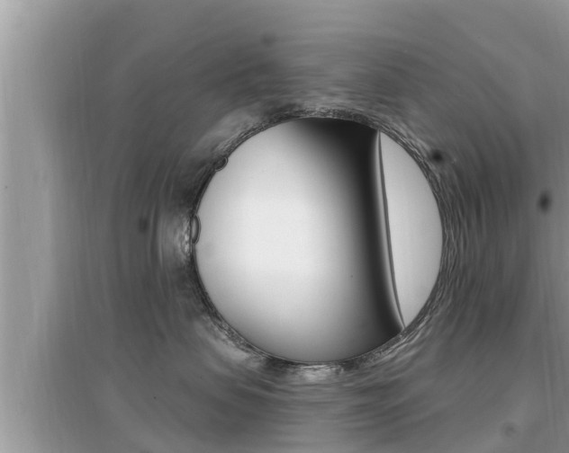 X0000095110479200712070924