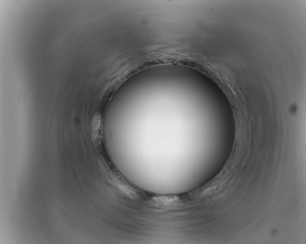 X0000095110480200712070924