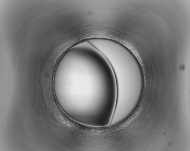 X0000095110481200712070923