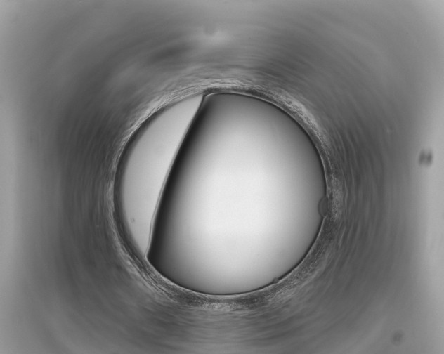 X0000095110482200712070923