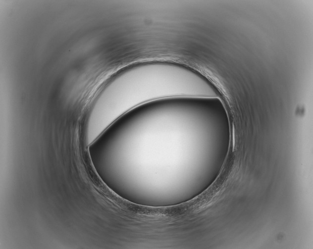 X0000095110483200712070923